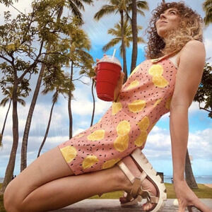 Anthropologie Hutch Pink Lemon Print Button Short Overalls S